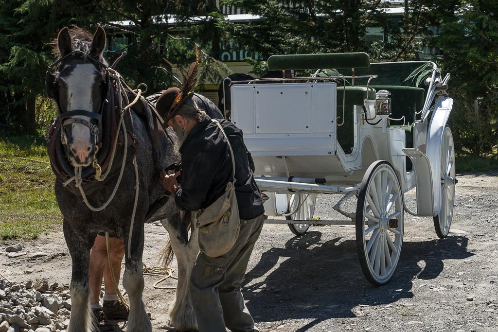 Otira Stagecoach Hotel Dış mekan fotoğraf